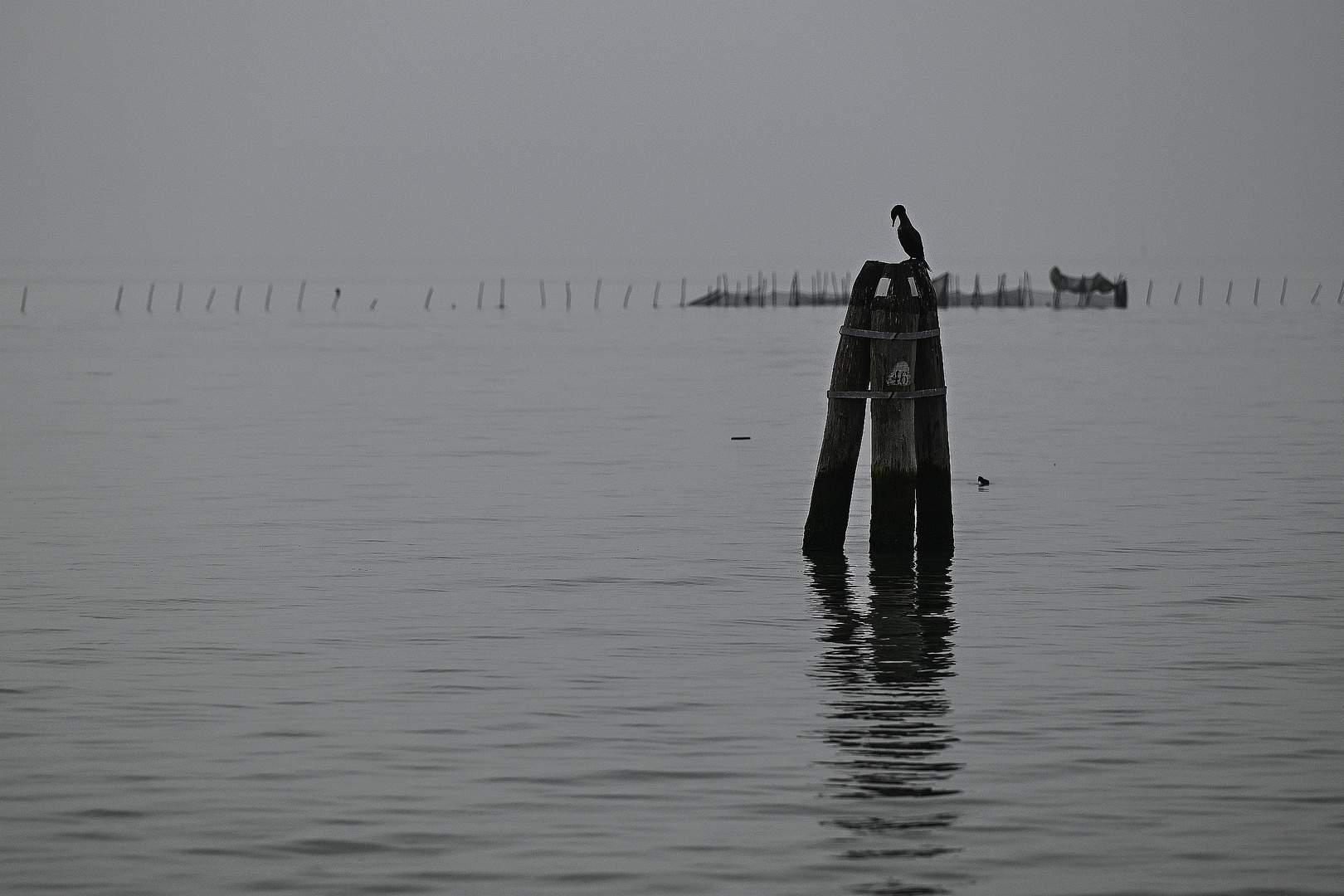 Venedig, Lagune