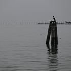 Venedig, Lagune