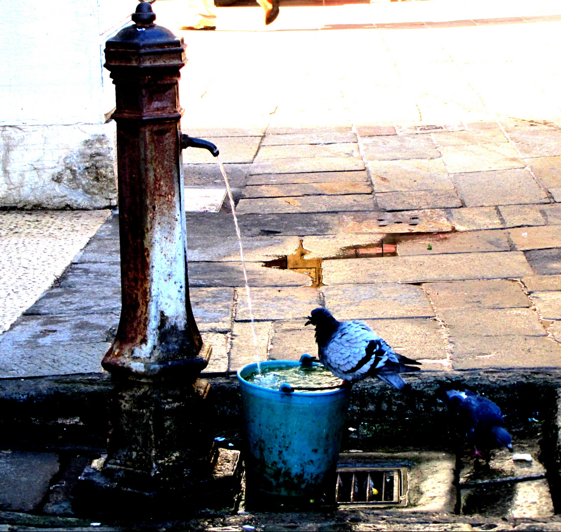 Venedig März 2012