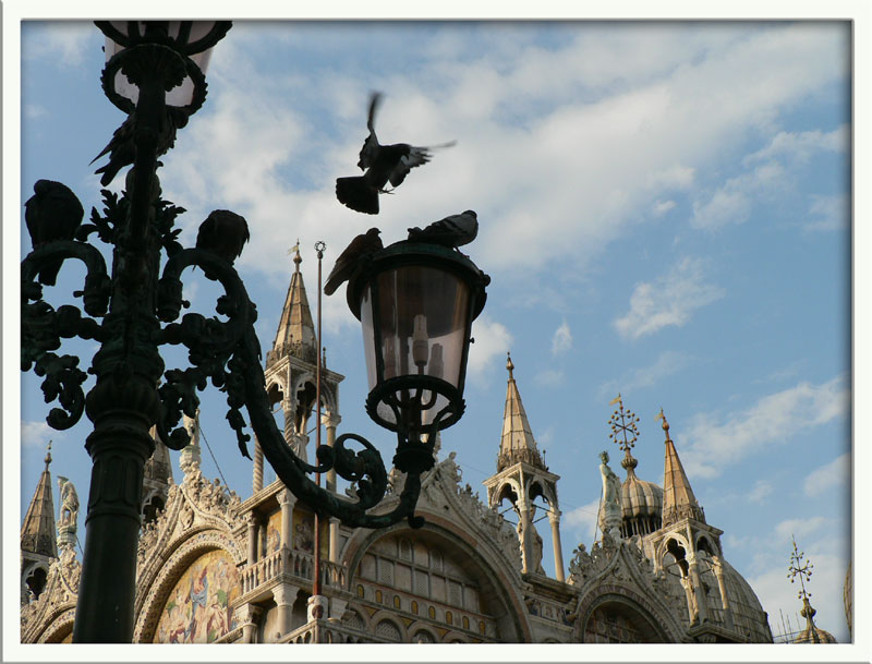 venedig markusplatz