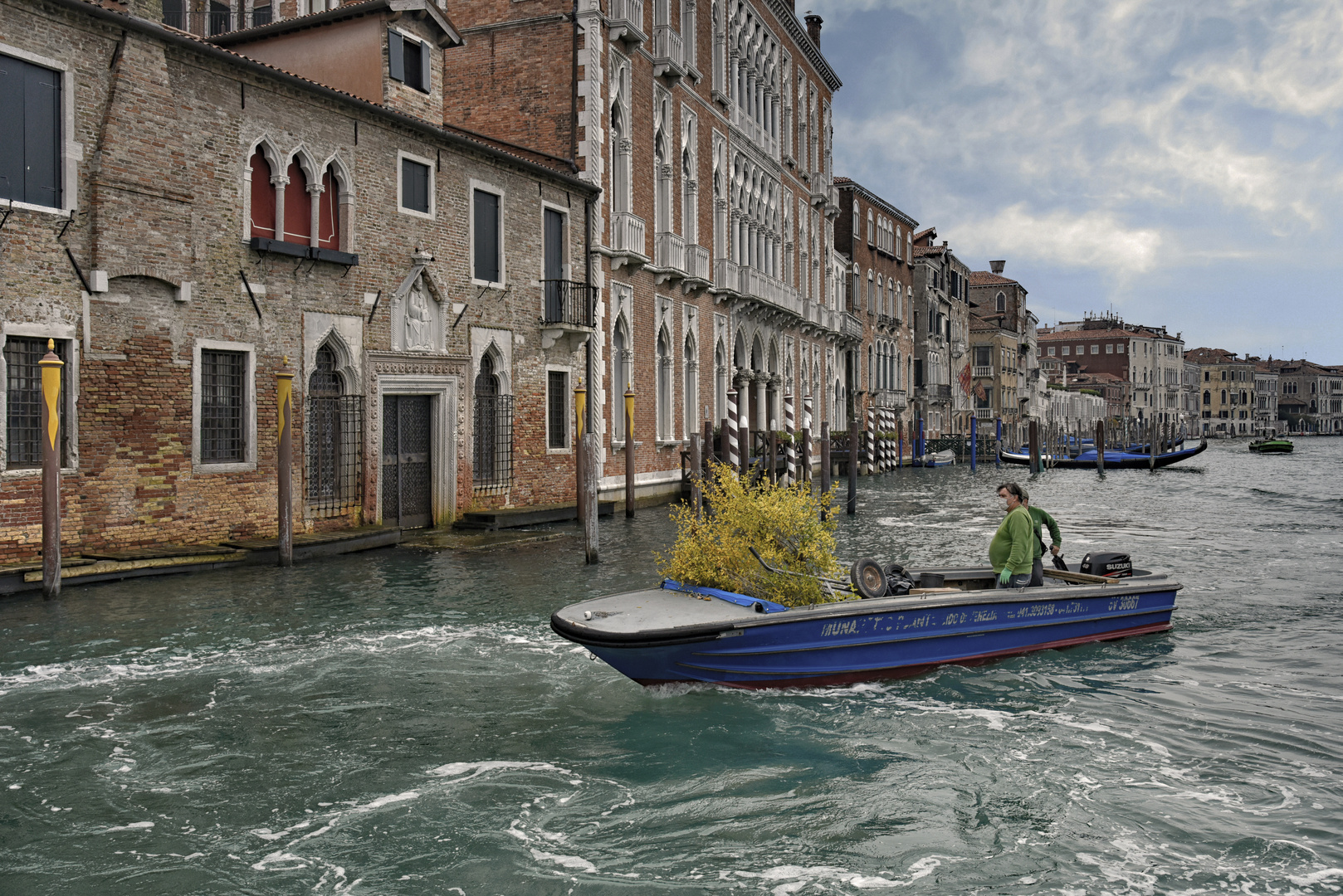 Venedig - Neue Bepflanzung im Hotel