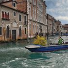 Venedig - Neue Bepflanzung im Hotel