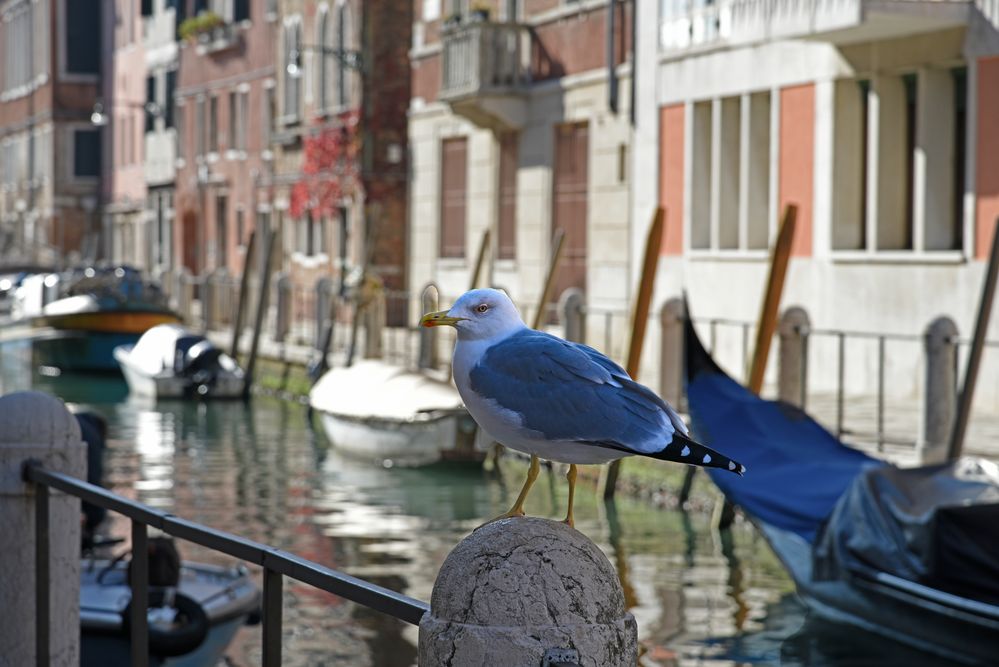 Venedig November 2020 