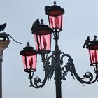 Venedig- Piazza San Marco