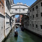 Venedig pur 