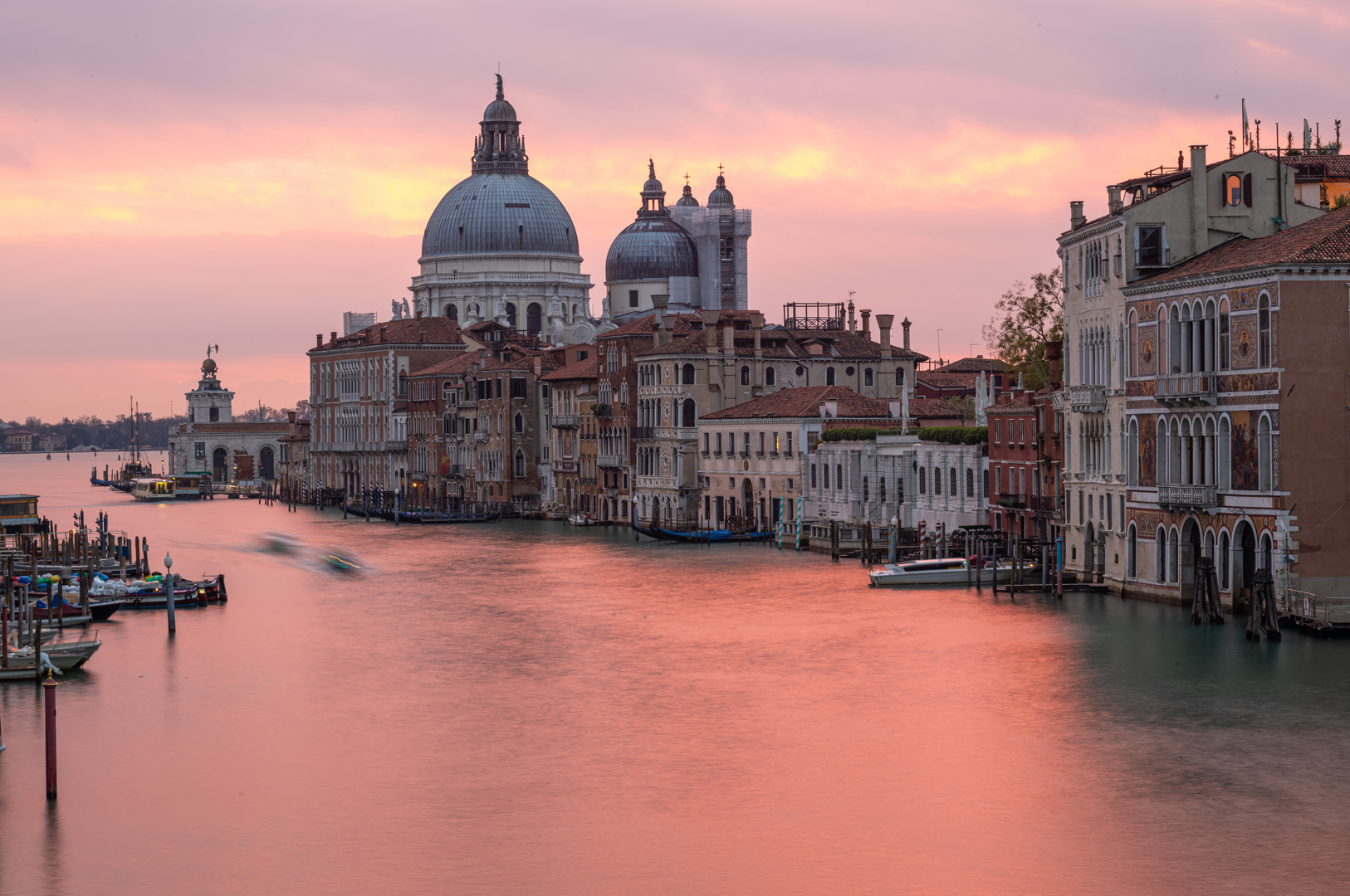 Venedig rosa