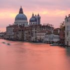 Venedig rosa