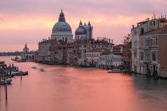 Venedig rosa