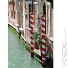 Venedig - rot/weiß