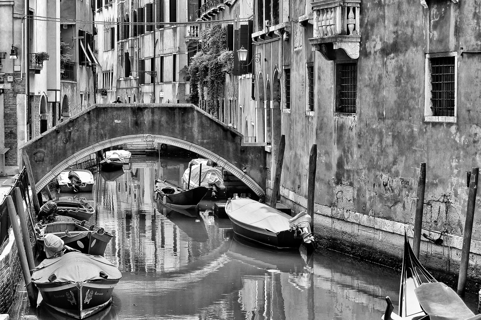 Venedig S/W 3