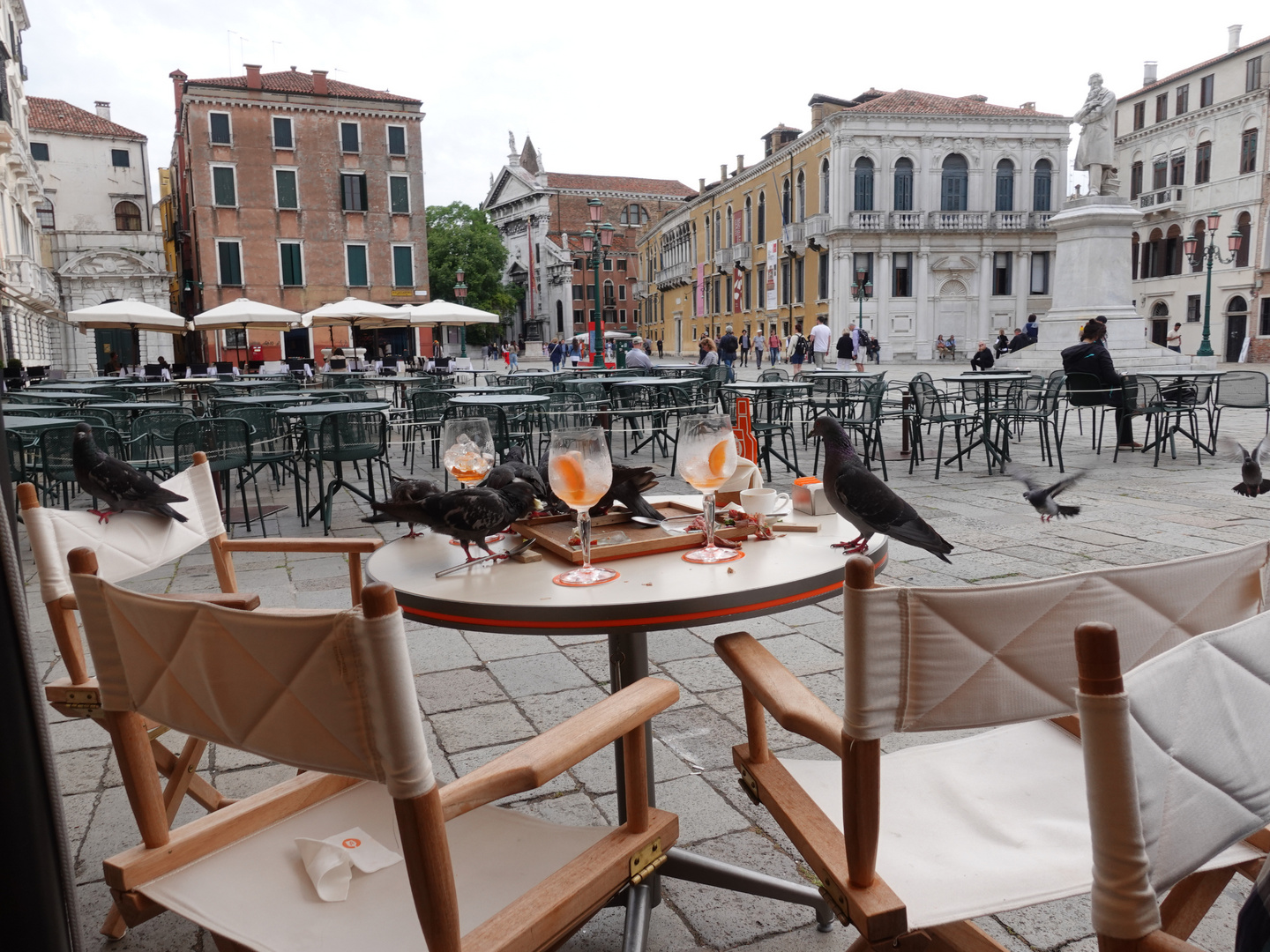 Venedig Tauben haben den Aperol Spritz genossen