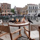 Venedig Tauben haben den Aperol Spritz genossen