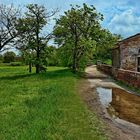 VENEDIG   - TORCELLO - 