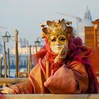 venedig und sein karneval