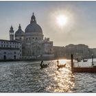 Venedig war die Stadt meiner Träume