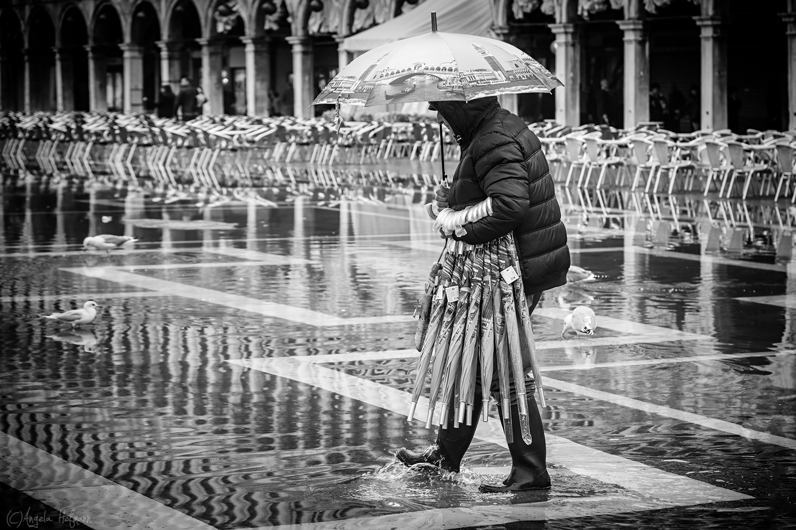 Venedig ... Wasser von oben ... Wasser von unten