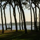 Venedig_Parco-del-Rimembranze_2012 (11)