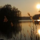 Venekotensee bei Elmpt nähe niederländ. Grenze 