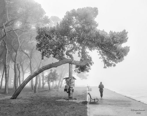  Venetian atmospheres