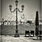 venetian monochromes (19)