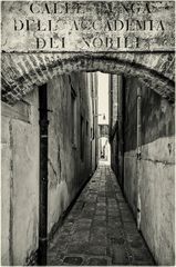 venetian monochromes (21)