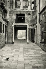 venetian monochromes (3)