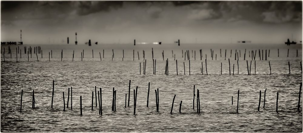 venetian monochromes (4) - Blick auf Mestre