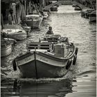 venetian monochromes (9)