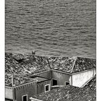 Venetian rooftops