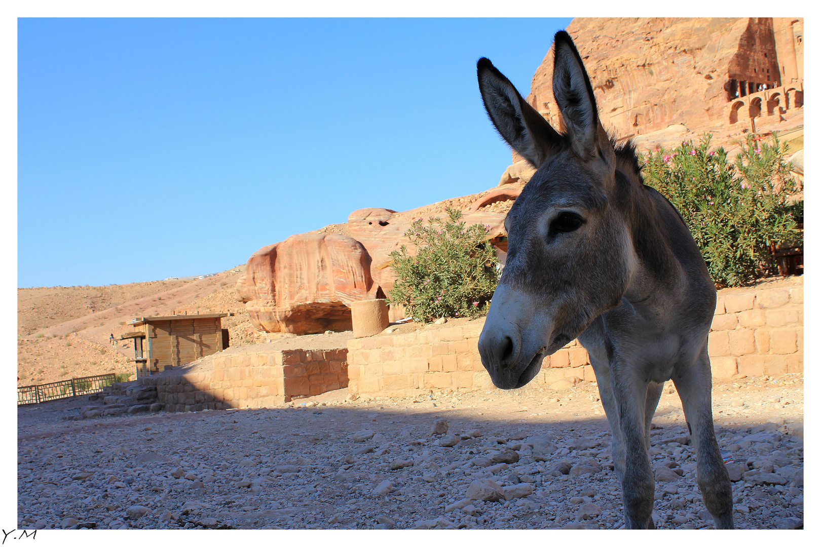 Venez visiter la superbe ville de Petra....