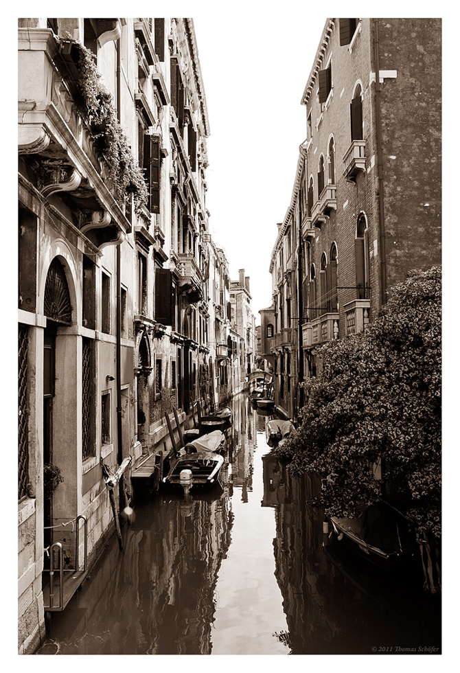 Venezia