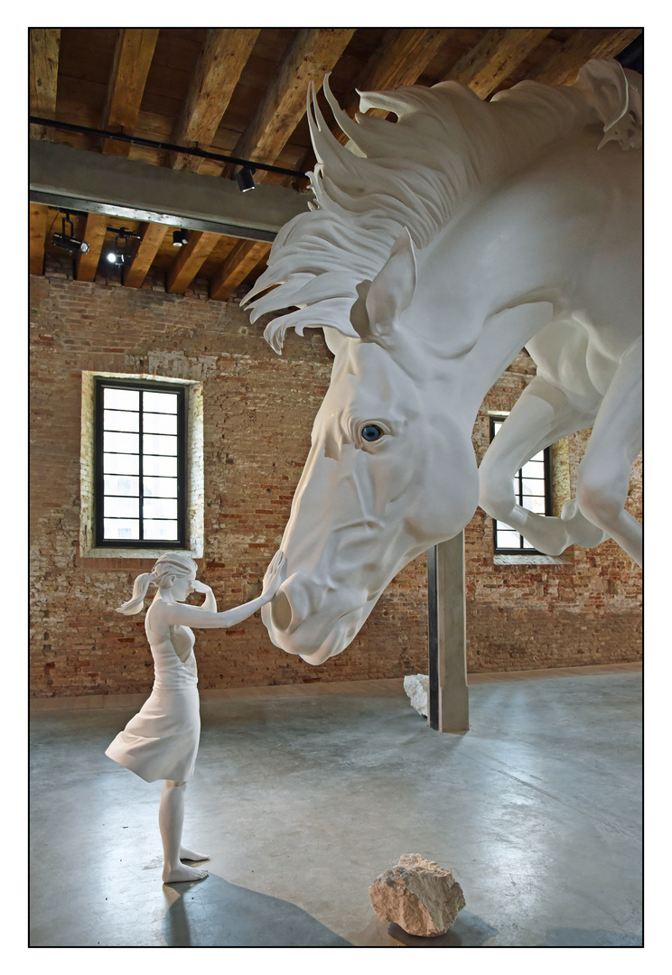 Venezia 15. Arsenale