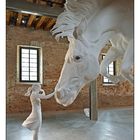 Venezia 15. Arsenale