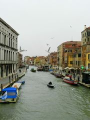 Venezia 2012