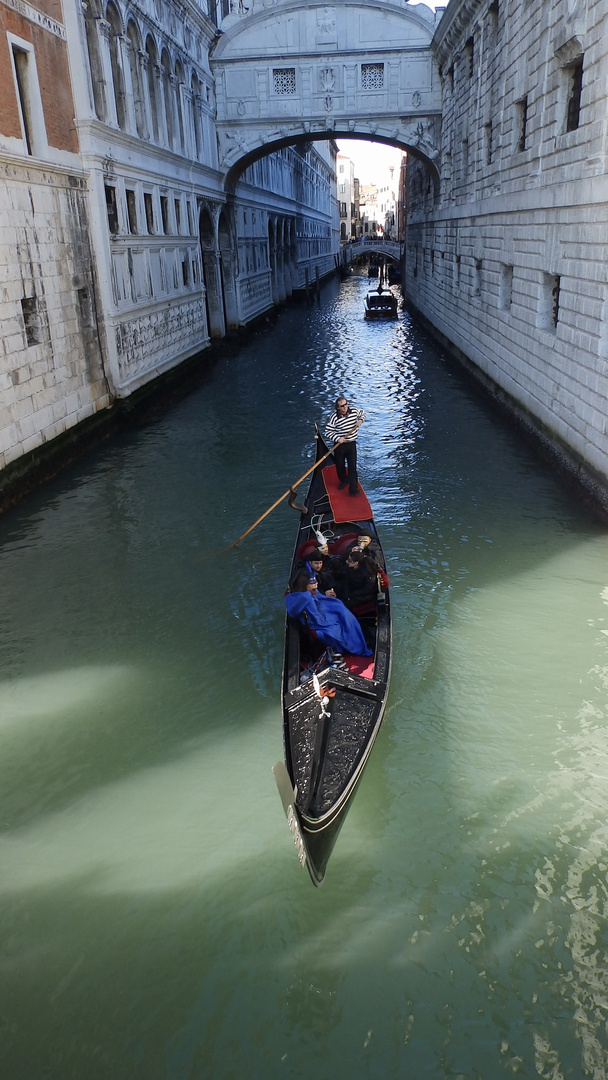 venezia 2014-5