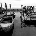 Venezia 22 ...... Pellestrina *4*