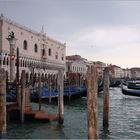 Venezia