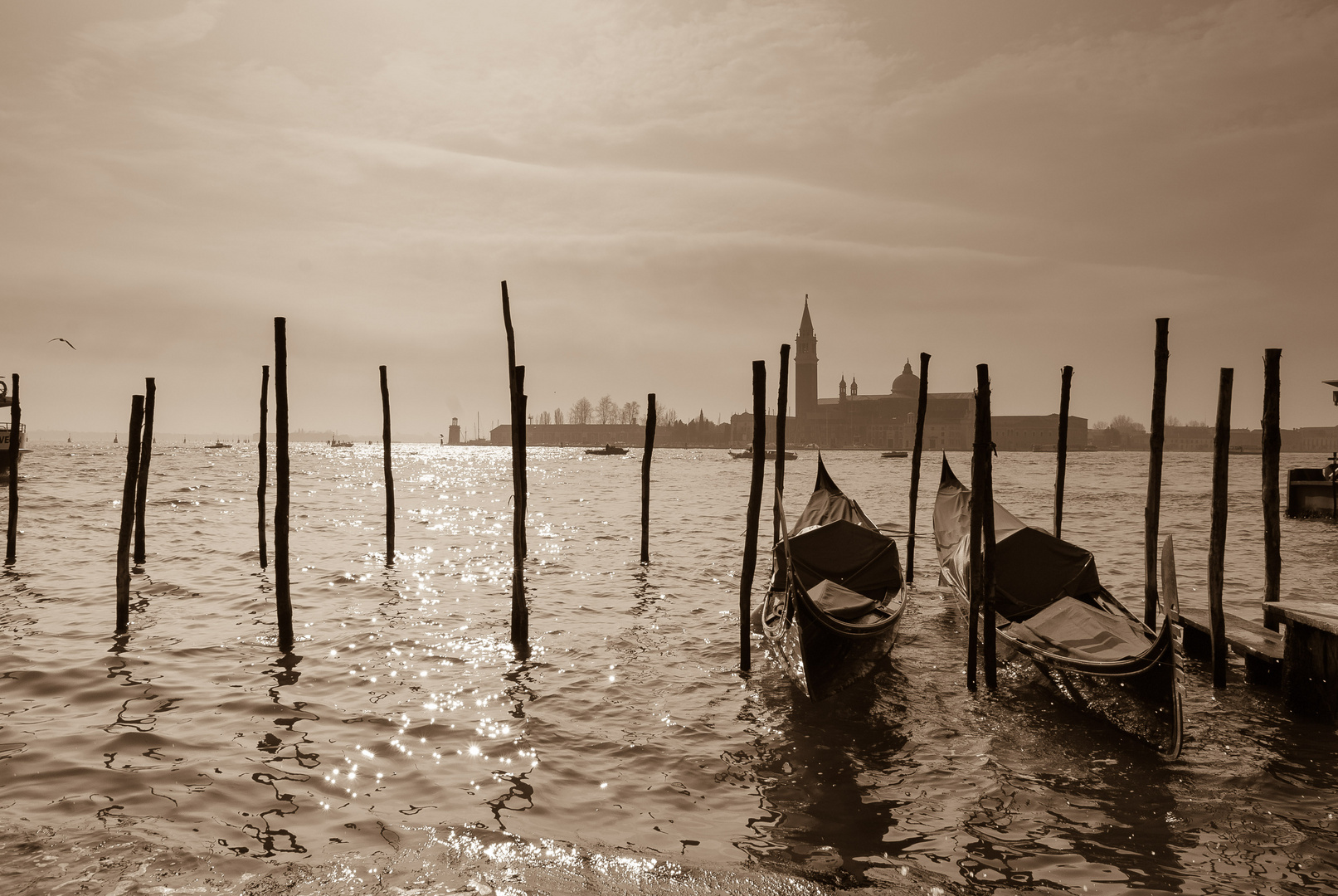 Venezia