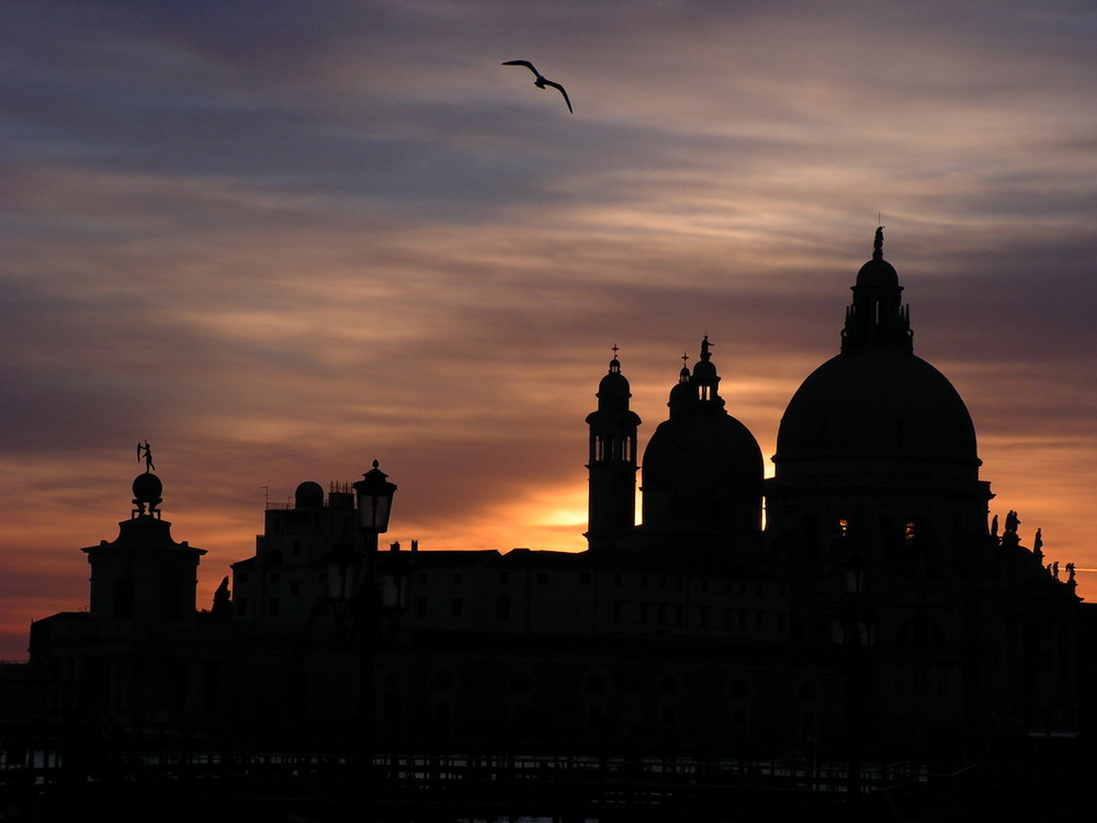 venezia