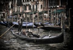 VENEZIA *