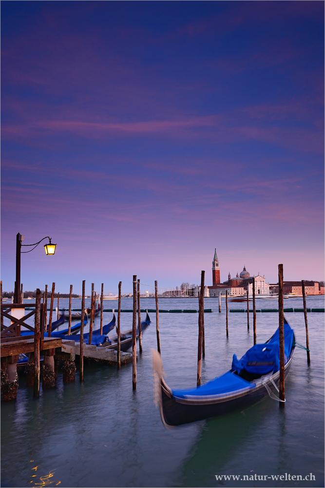 ~ ~ ~ Venezia ~ ~ ~