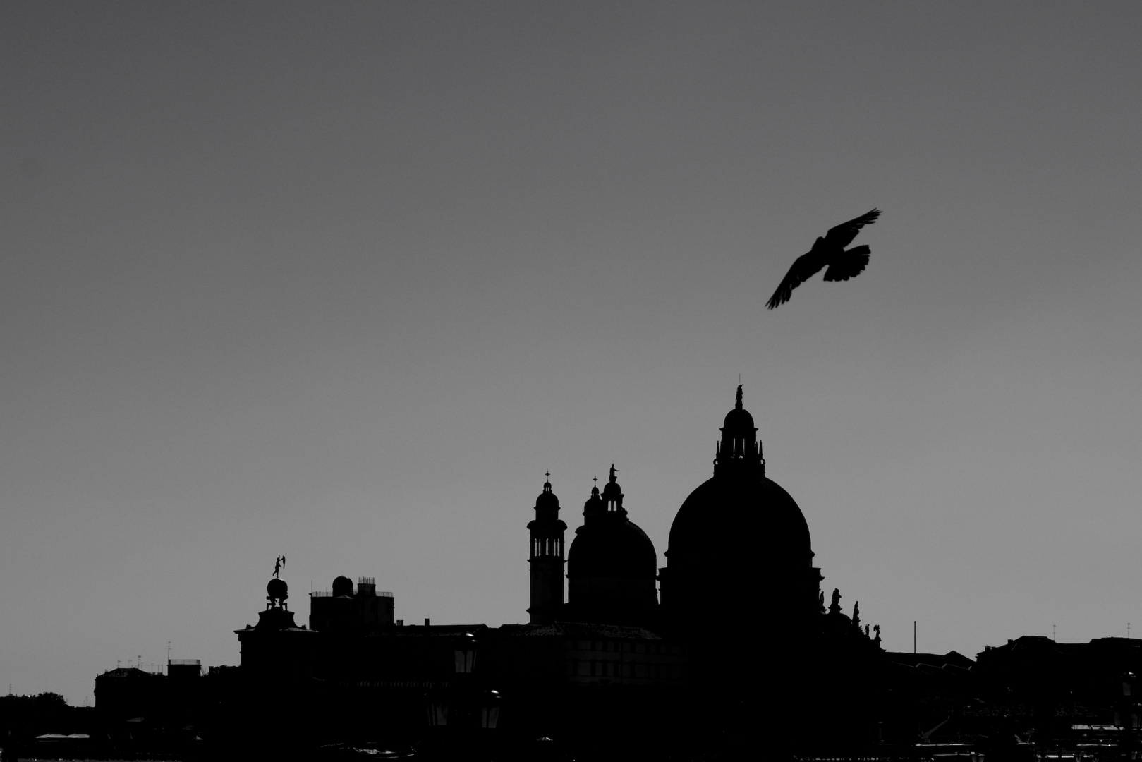 Venezia