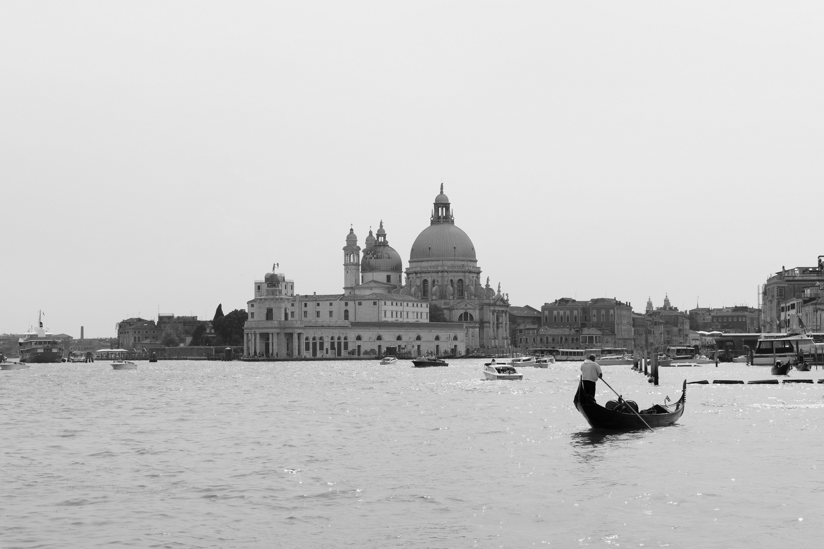 Venezia