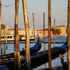 Venezia am Abend