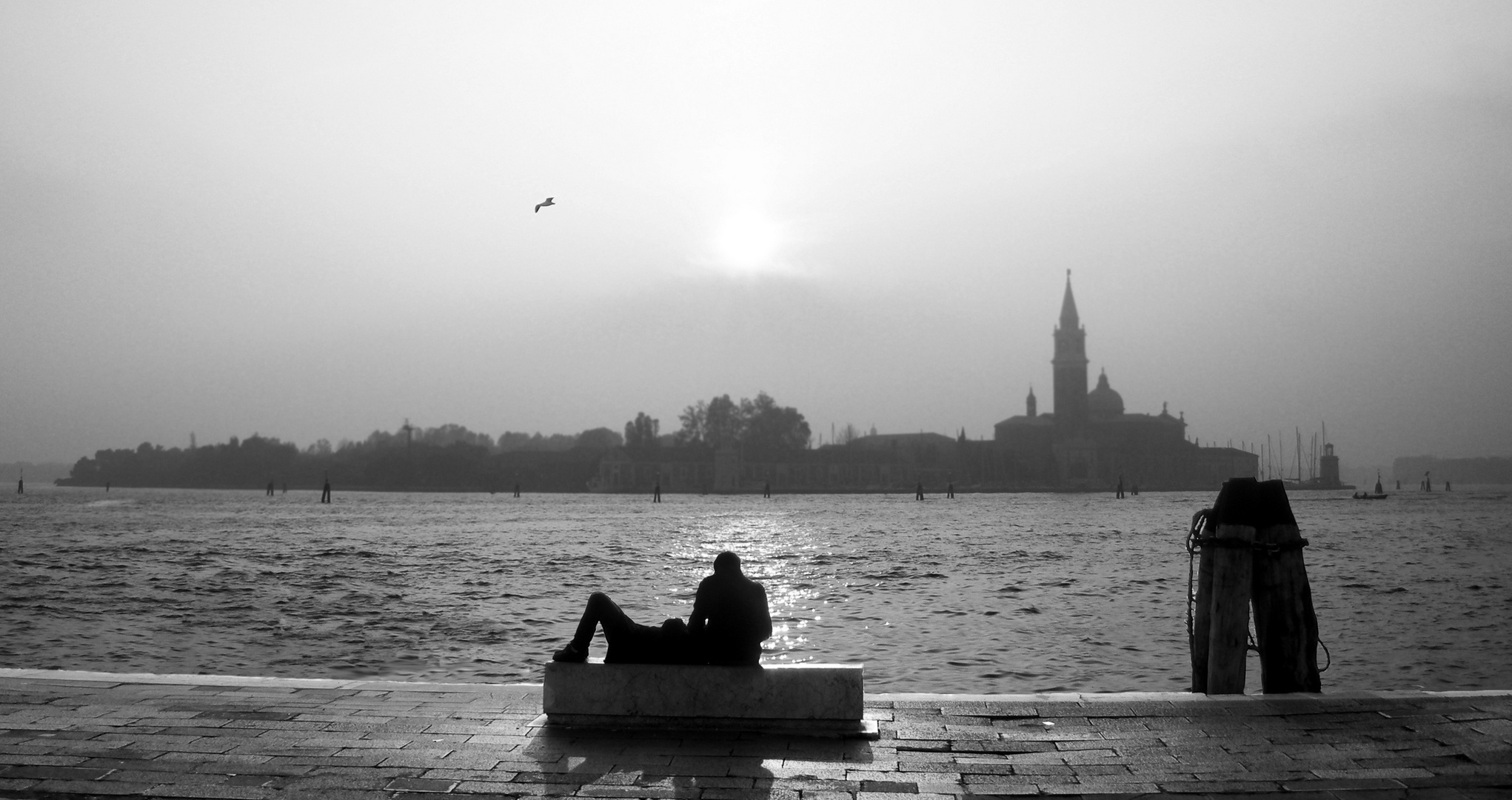 Venezia backlight