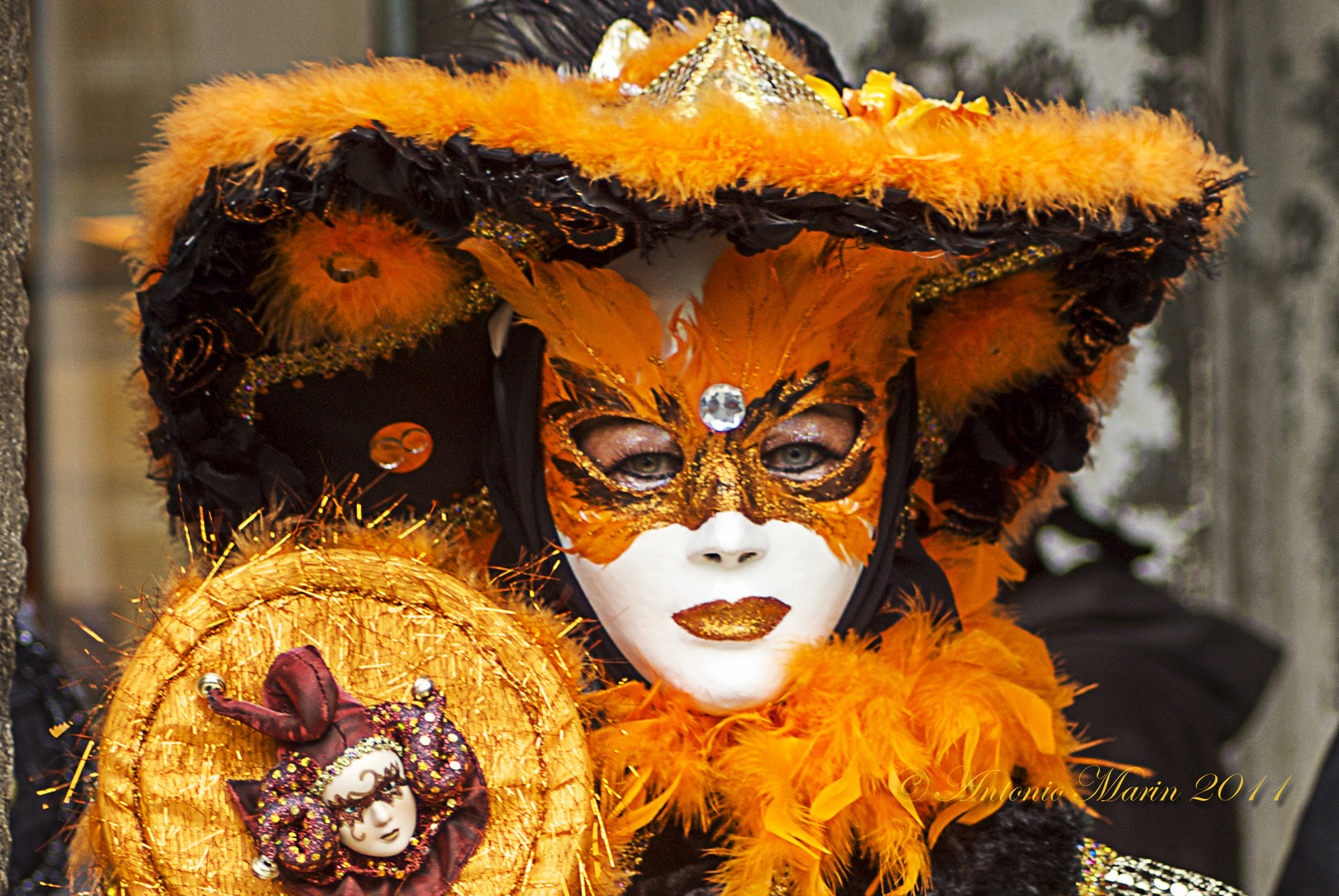 Venezia carnevale 2011