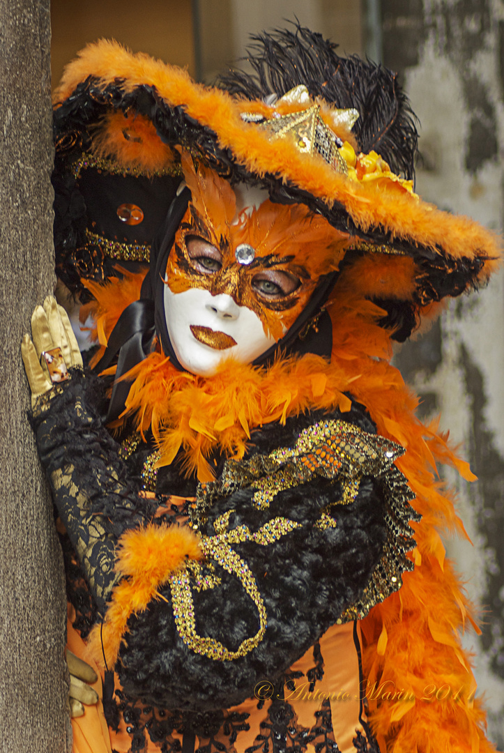 Venezia carnevale1 2011