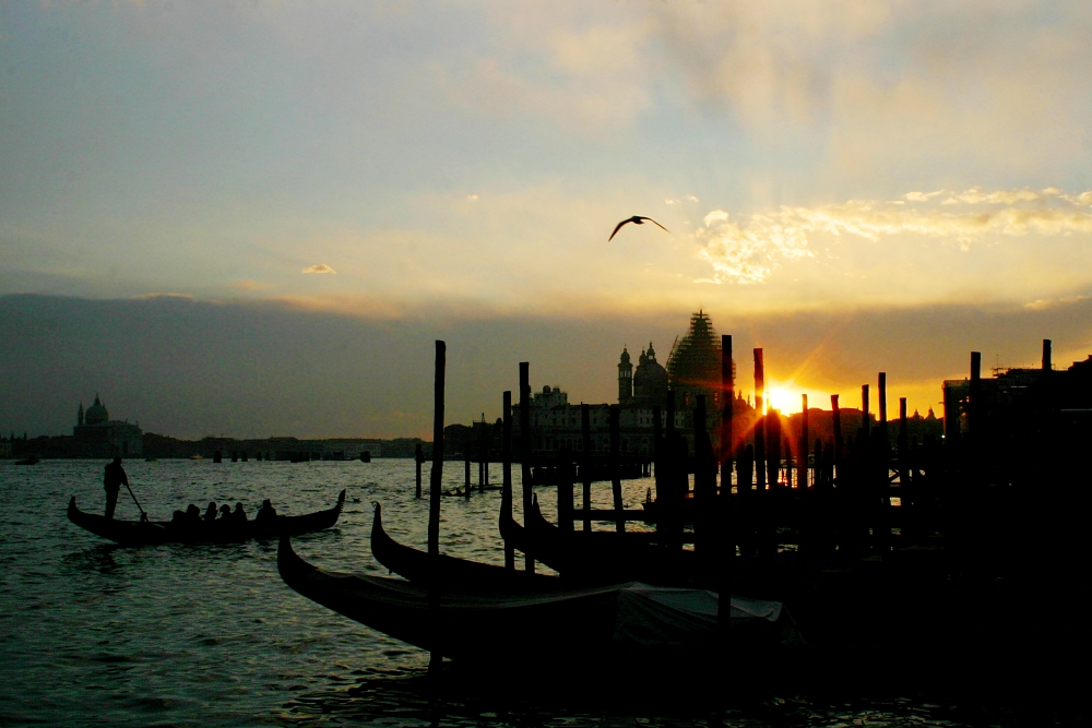 Venezia: Cartolina Postale