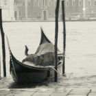 Venezia che muore