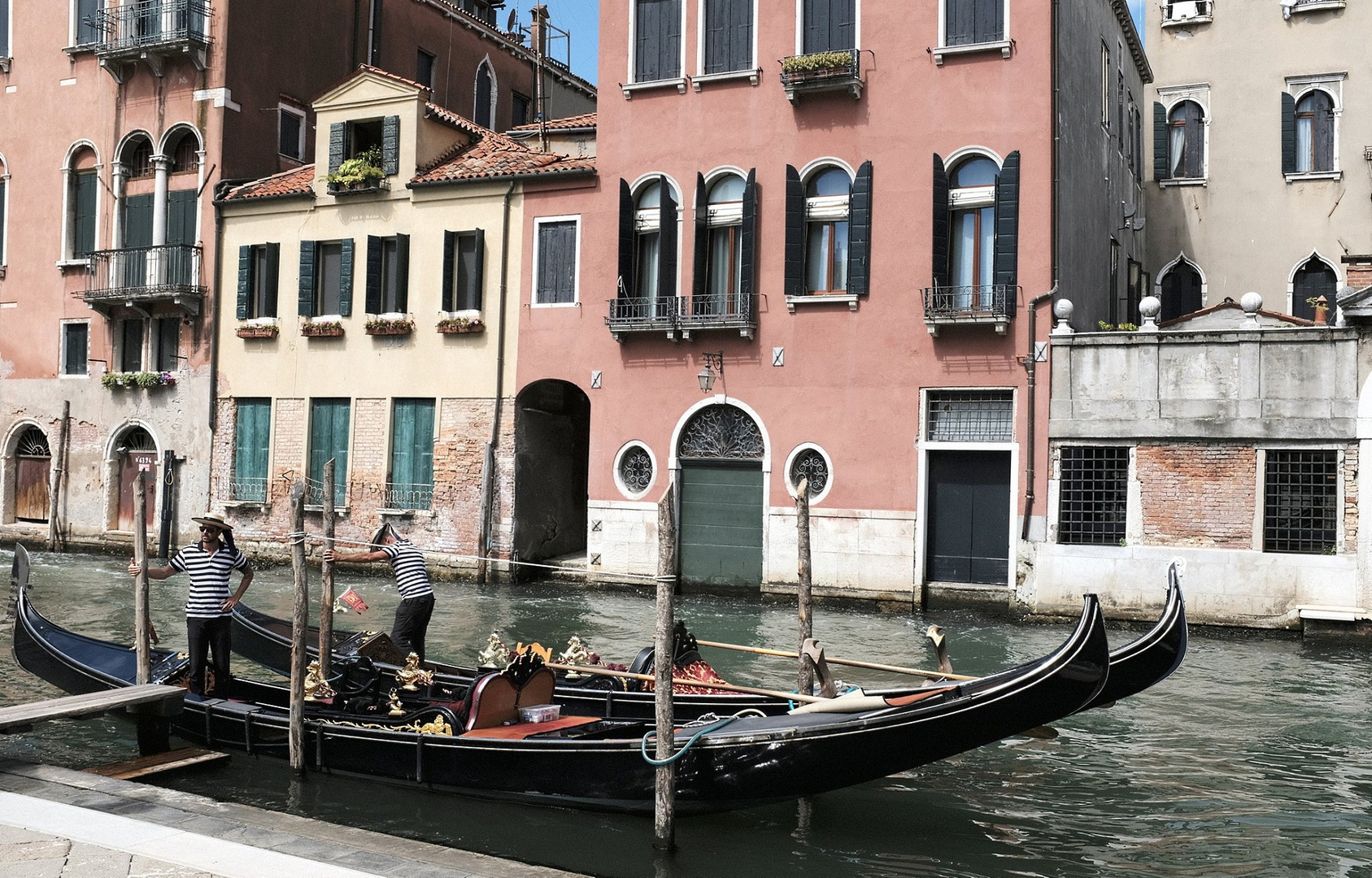 Venezia Classico